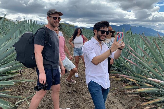 The Mezcal Journey - Unlimited Mezcal Tasting: How to Use Categories Without Overdoing It