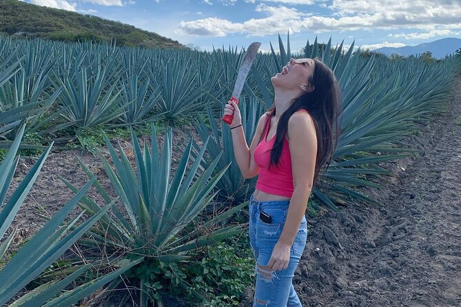 The Mezcal Journey - Doña Chica Oaxacan Lunch: Fuel That Keeps the Day Fun