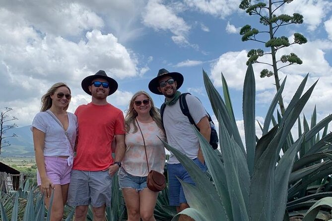The Mezcal Journey - Agave Fields Activities by Season: Cutting, Planting, or Harvesting
