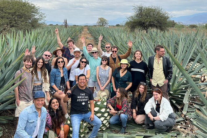 The Mezcal Journey - Price and Value for a 6-Hour Mezcal Experience