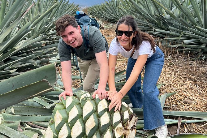 The Mezcal Journey - Who Should Book This Mezcal Journey (and Who Should Rethink)