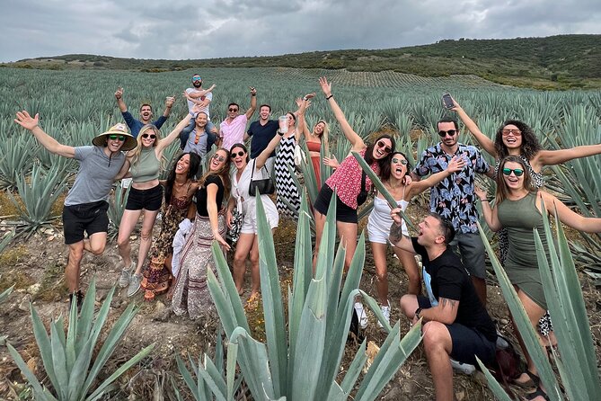 The Mezcal Journey - Inside the Mezcal Artesanal Distillery: Cellar, Barrels, and Full Production Access