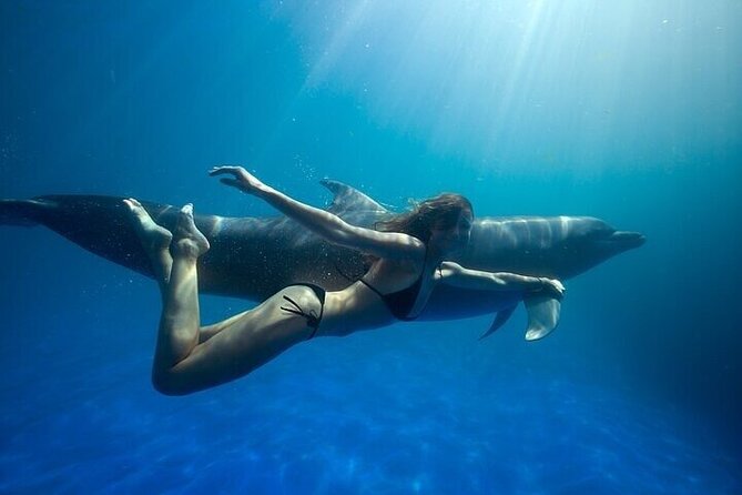 The only Natural Space Dolphin Encounter in Cabo Optional Pickup! - Key things that make this Cabo dolphin encounter work