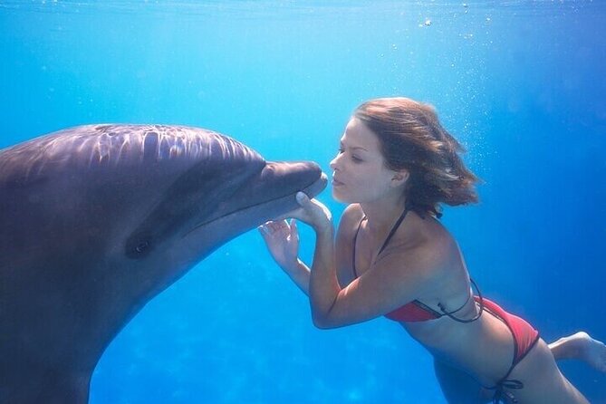 The only Natural Space Dolphin Encounter in Cabo Optional Pickup! - Price, value, and the real math once photos enter the picture