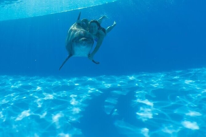 The only Natural Space Dolphin Encounter in Cabo Optional Pickup! - The fast route around Cabo: what each stop adds to your hour