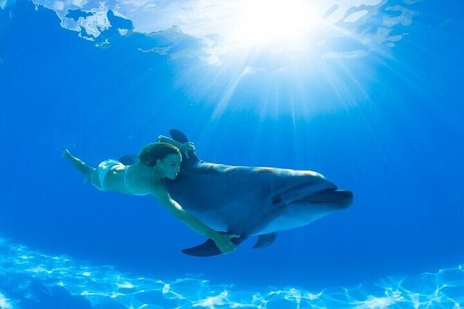 The only Natural Space Dolphin Encounter in Cabo Optional Pickup! - The people factor: when guides make you feel safe and excited