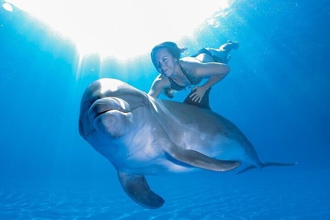 The only Natural Space Dolphin Encounter in Cabo Optional Pickup! - Weather and timing: the two things that can change your plan