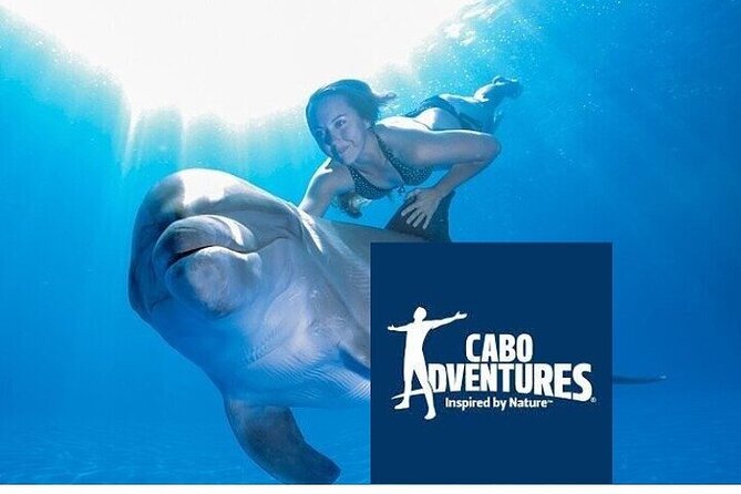 The only Natural Space Dolphin Encounter in Cabo Optional Pickup! - Pickup and transport: how to keep the logistics from eating your time