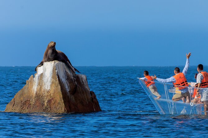 The Original Clear Boat – Cabo’s Signature Landmark Experience - Should you book the Original Clear Boat in Cabo?
