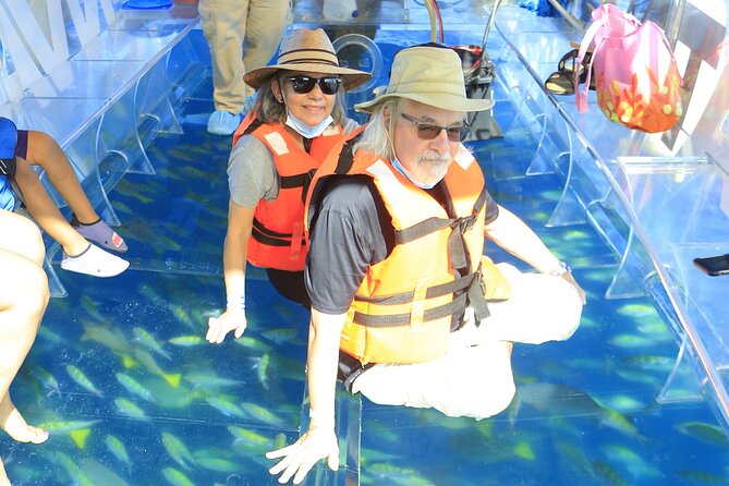 Tours in Cabo, Paseo al Arco and Fin de la Tierra in the only Clear Boat - Weather, Seasickness, and Why Short Tours Can Still Feel Rough