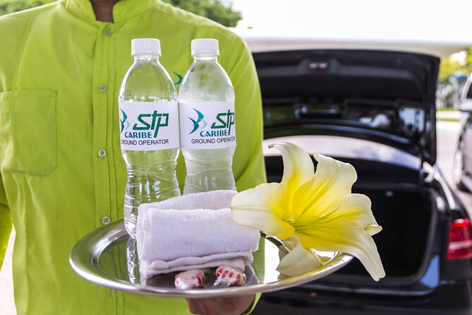 Transfer in Luxury Mercedes Benz Minivan - Should you book this Cancun transfer?