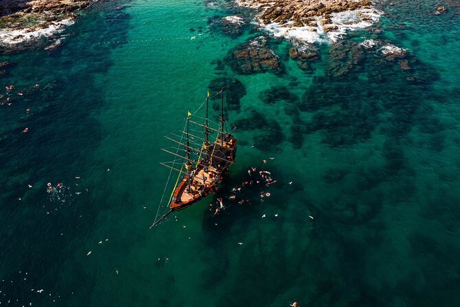 Treasure Hunt Snorkeling Lunch Cruise from Cabo San Lucas - Price and What $99 Is Really Buying