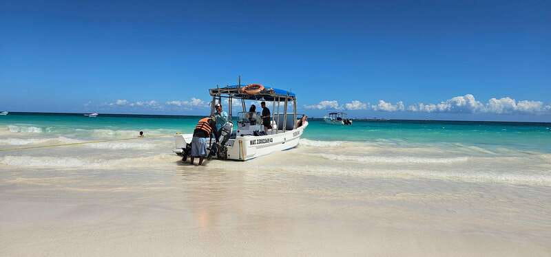 Tulum: 2-Hour Snorkeling in Two Spots of Tulum's Reef - Key things to know before you go