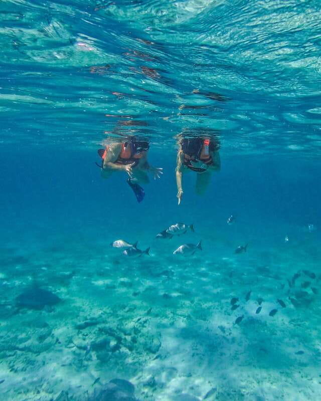Tulum: 2-Hour Snorkeling in Two Spots of Tulum's Reef - Reaching the park beach: Parque del Jaguar logistics that matter