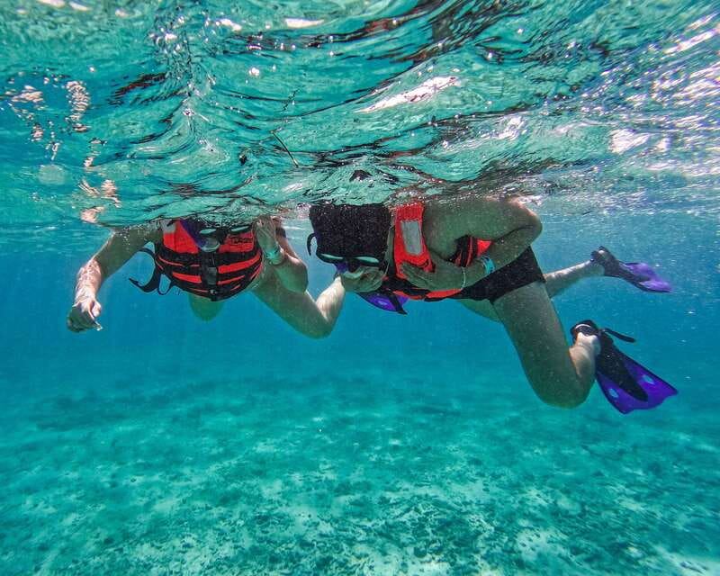Tulum: 2-Hour Snorkeling in Two Spots of Tulum's Reef - Wildlife spotting: turtles, stingrays, manta rays, and more