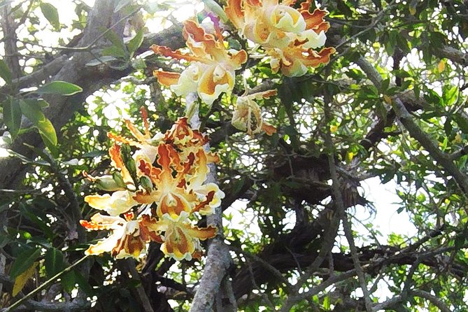 Tulum Archaeological Site & Sian Ka'an Muyil Tour from Tulum - What to Pack for Ruins and the Mangrove Float