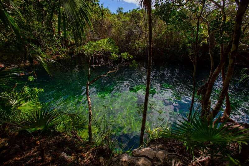 Tulum: Cenote Trail Bike Tour - Cenote Cristal and Escondido, plus the types in the 3-cenote route