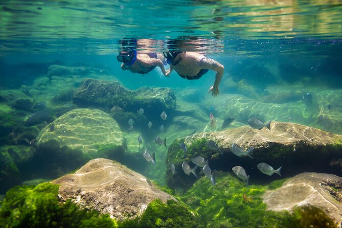 Tulum Guided Tour, Magical Cenote, Lagoon Snorkeling and Beachside Lunch - What to bring so the day feels easy (not annoying)