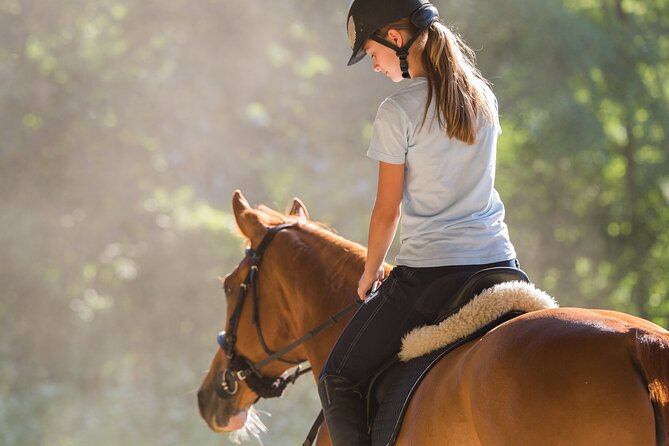 Tulum Jungle Horseback Ride + ATV + Ziplines + Cenote Combo Tour - Entering The Day: Where to Meet, What Happens Next