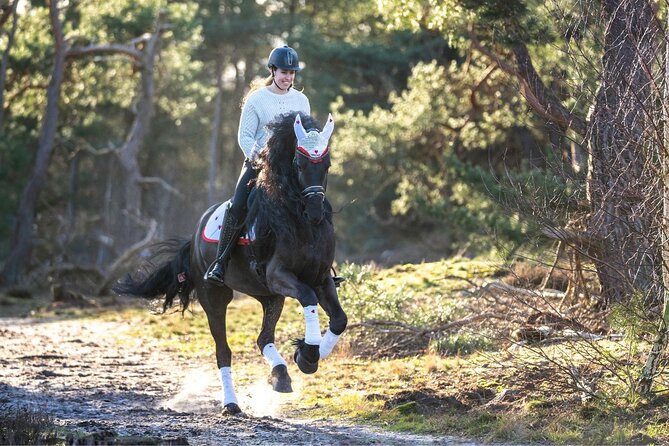 Tulum Jungle Horseback Ride + ATV + Ziplines + Cenote Combo Tour - Zip Lines and a Short Rappel: Fast, Scenic, and Safety-First
