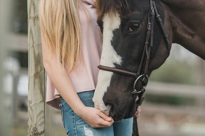 Tulum Jungle Horseback Ride + ATV + Ziplines + Cenote Combo Tour - Horses in Tulum Jungle: Pretty, But Not the Main Event for Everyone
