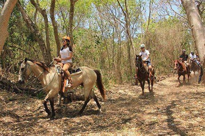Tulum Jungle Horseback Ride + ATV + Ziplines + Cenote Combo Tour - Price and Value: What $125 Gets You in Real Terms
