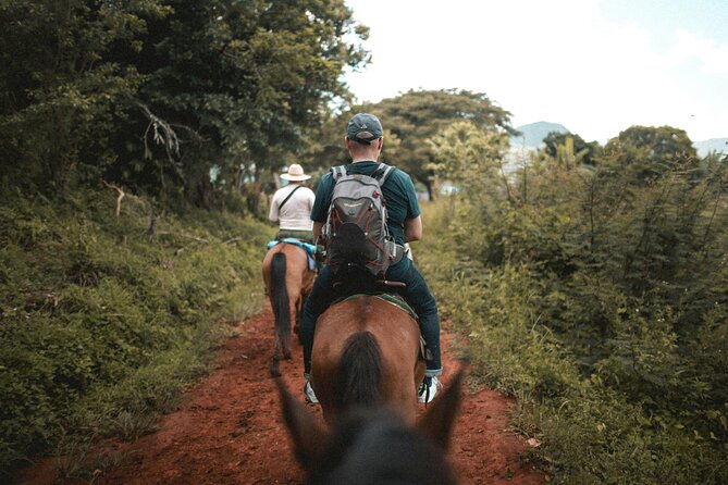 Tulum Jungle Horseback Ride + ATV + Ziplines + Cenote Combo Tour - Best Fit: Who Should Book This Jungle Combo