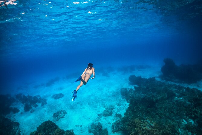 Tulum: Leopard 51′ Yacht with Gourmet Dining & Water Toys - Gourmet Lunch on a Yacht: Menu Choices That Feel Like a Real Meal