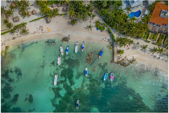 Tulum Ruins, Turtles in Akumal and Cenote tour - Key highlights at a glance