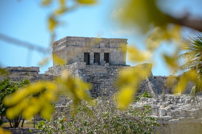 Tulum Ruins, Turtles in Akumal and Cenote tour - Lunch tacos, snacks, and dietary options that actually work