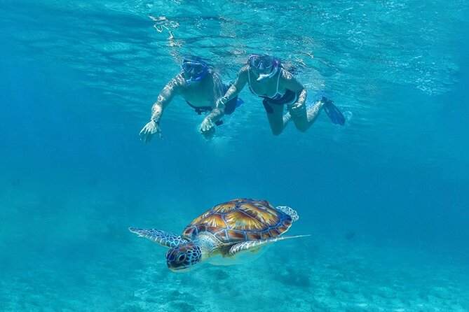 Tulum, Snorkeling with Sea Turtles, Cenote and Beachside Lunch - Getting to the sites: pickup timing, van snacks, and road reality