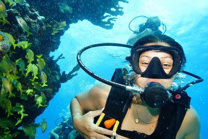 Two Dives and Class for Begginers Divers in Cancun - Key highlights to know before you go