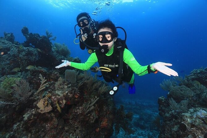Two Dives and Class for Begginers Divers in Cancun - Second underwater session at Manchones Reef: coral, color, and the small stuff