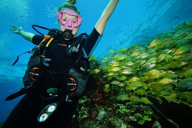 Two Dives and Class for Begginers Divers in Cancun - Price and value: what you pay for, what costs extra, and what that means for you
