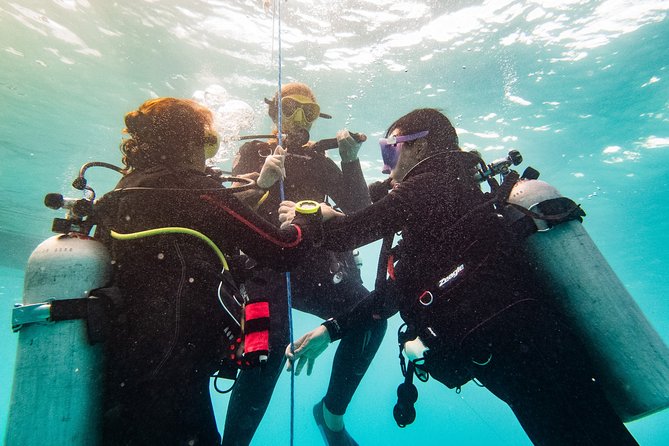 Two reef discovery dives with professional instructor (no experience necessary) - Key Highlights That Matter for First-Timers