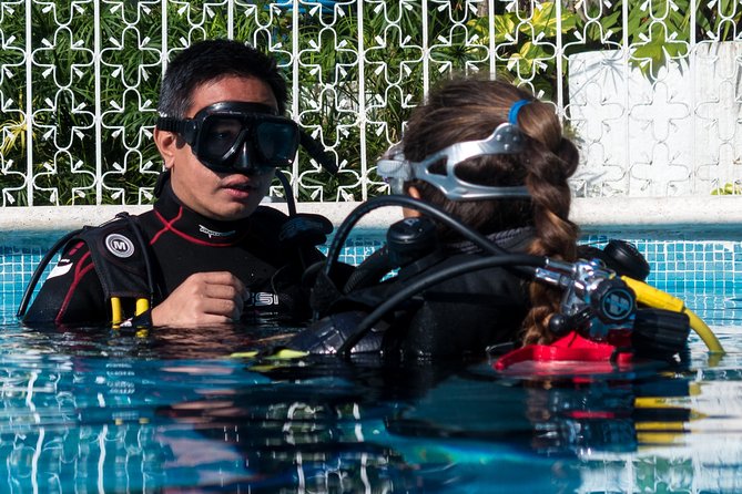 Two reef discovery dives with professional instructor (no experience necessary) - The Reef Excursions: Two Corals, Two Chances to See Sea Life