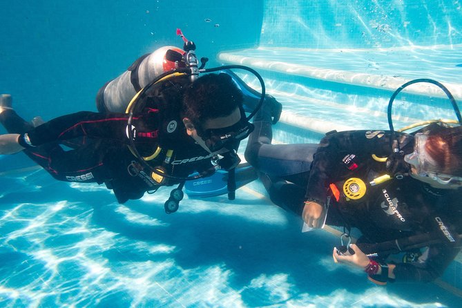 Two reef discovery dives with professional instructor (no experience necessary) - What the Instructors Really Do (and Why It Feels Safe)