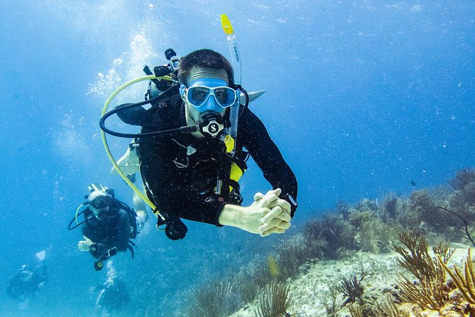 Two reef discovery dives with professional instructor (no experience necessary) - From Briefing Room to Pool Skills, What Your Morning Looks Like