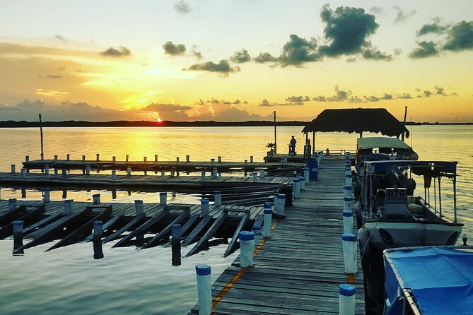 Two Reefs For Certified Divers in Cancun - Price and Value: What $145 Actually Buys You