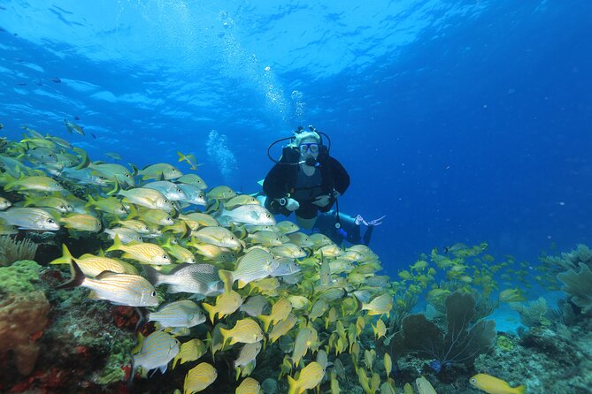 Two Tanks Scuba Diving for Beginners in Cancun - What you learn before you ever step off the boat