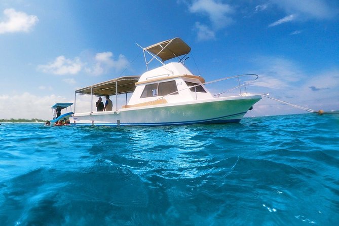 Ultimate 5x1 Combo with ATV, Ziplines, Cenote & Reef Snorkeling - Reef Snorkeling in Puerto Morelos Reef National Park: two swim stops, one boat ride