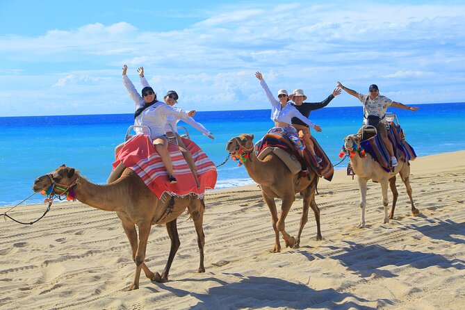 UTV Adventure with Free Camel Ride and Sky Bikes - Sky Bikes and Ecological Hike: The High Point of the View