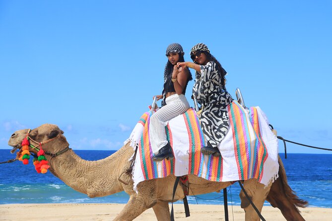 UTV Adventure with Free Camel Ride and Sky Bikes - Tequila Tasting and the Culture Bite That Completes the Loop