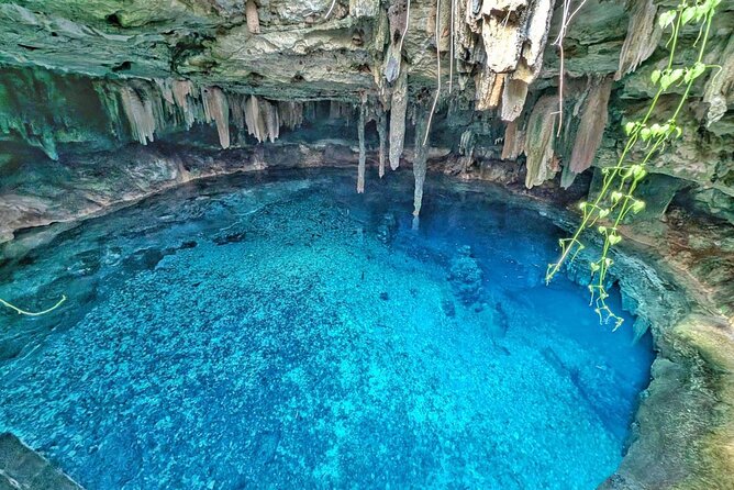 Uxmal, two Amazing Cenotes & Local Food Tour from Mérida - A Fast Route From Mérida: 7:30 am Start, Air-Conditioned Comfort