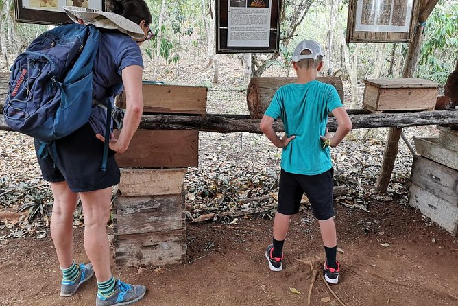 Valladolid Mayan Bees Tour with Lunch or breakfast and Honey Tasting - Entering Xkopek Parque Apícola From Valladolid, Then Heading Into Nature