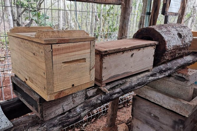 Valladolid Mayan Bees Tour with Lunch or breakfast and Honey Tasting - The Jungle Path to the Meliponario, and How Plants Become Honey