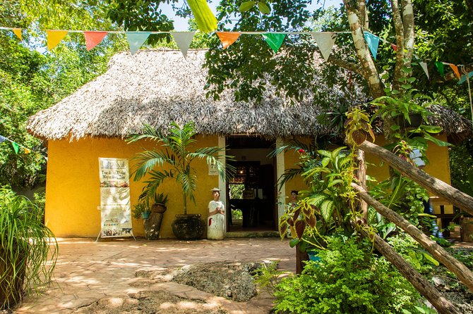 Valladolid Mayan Bees Tour with Lunch or breakfast and Honey Tasting - Meliponario Lessons: Honey Processing, Hive Architecture, and Hive Products