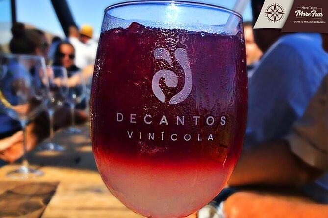 Valle de Guadalupe winery and brewery tours - Why $450 for up to 12 can be smart value in Valle