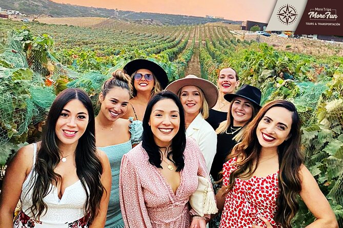 Valle de Guadalupe winery and brewery tours - Food breaks, TJ tacos, and how to plan your stops smartly