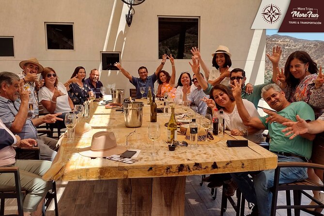 Valle de Guadalupe winery and brewery tours - Practical tips for a smooth 10-hour Valle day